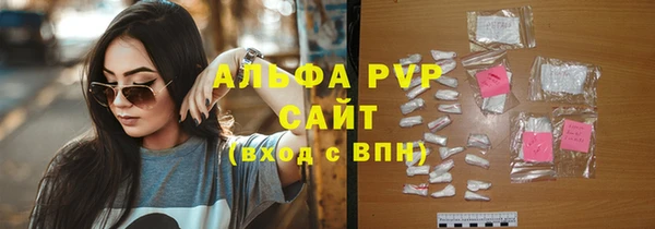 a pvp Гусев