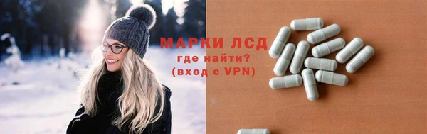 a pvp Гусев