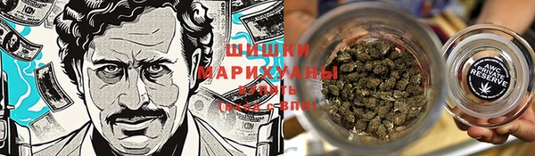 a pvp Гусев