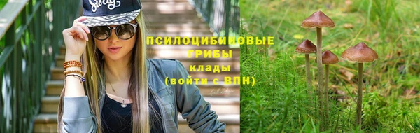 a pvp Гусев