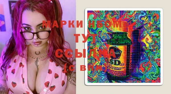 молекула духа Дмитров